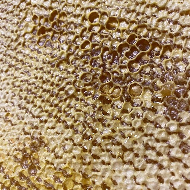 Cadre de miel